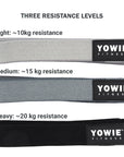 Long Resistance Exercise Bands - Black / Grey